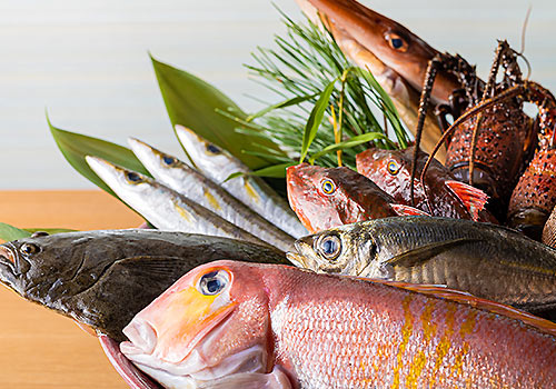 ベストな魚を厳選
