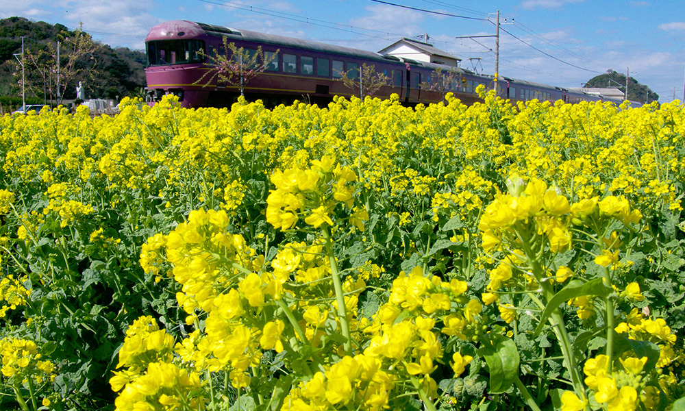 一年中花が咲く町